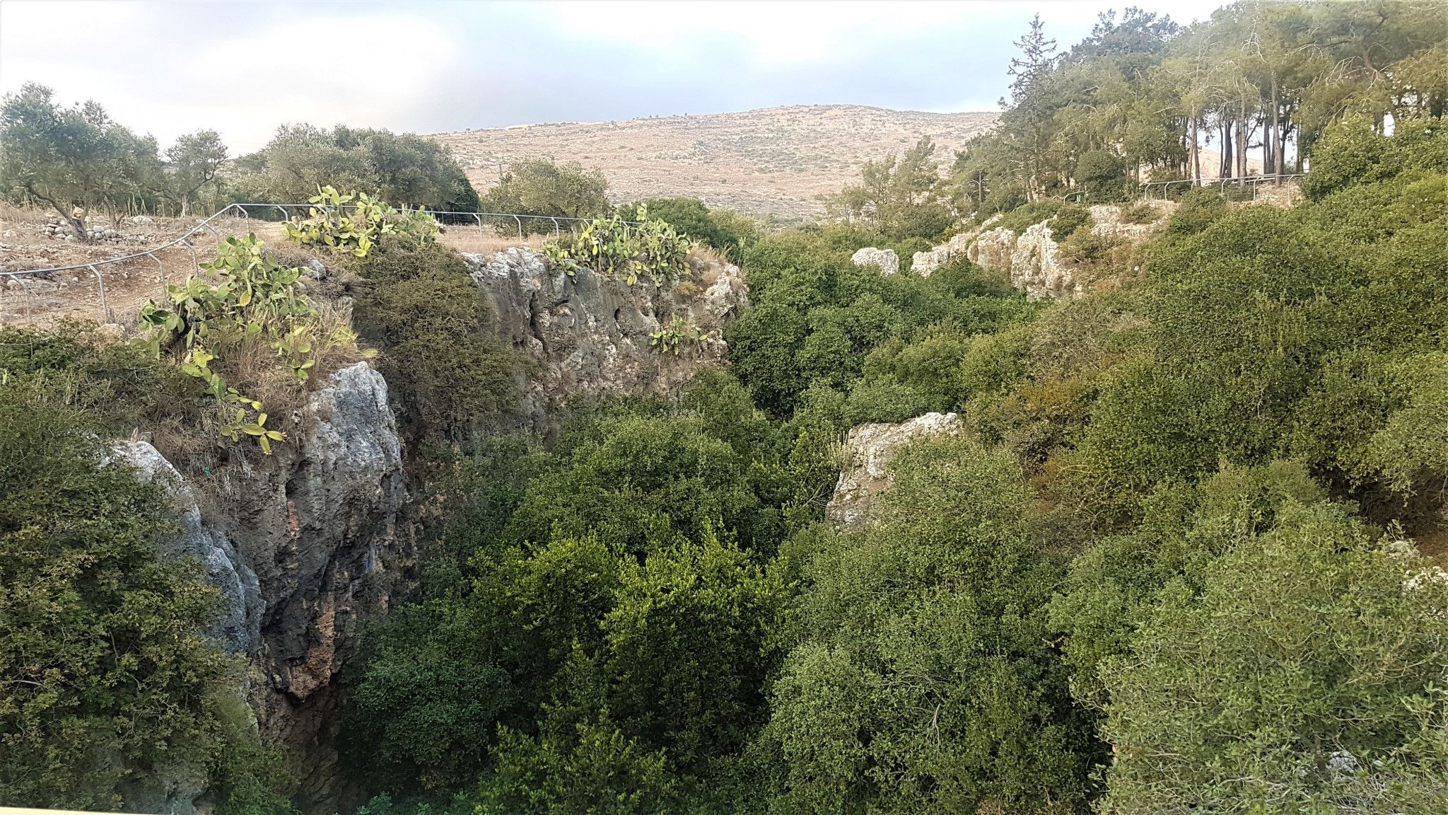 קניון נחל בית הכרם | צילום: יריב המאירי_ייעוץ וניהול תיירות