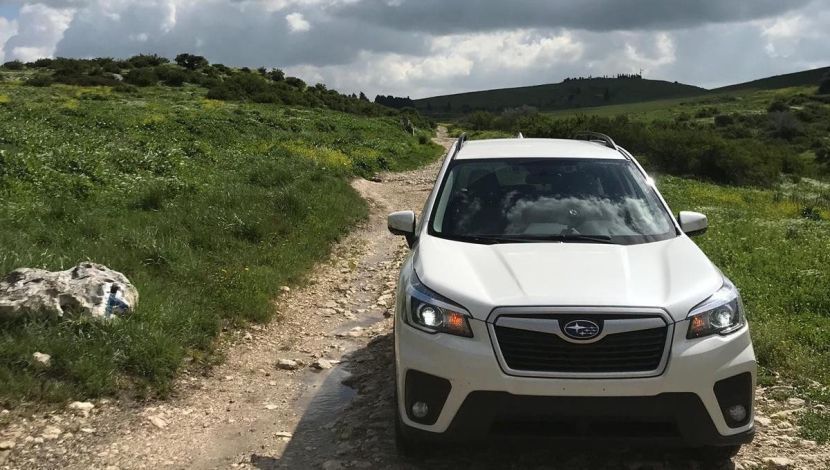 טיול 4x4 בחבל לכיש: מערות, פריחות ומלא שטח! (1)