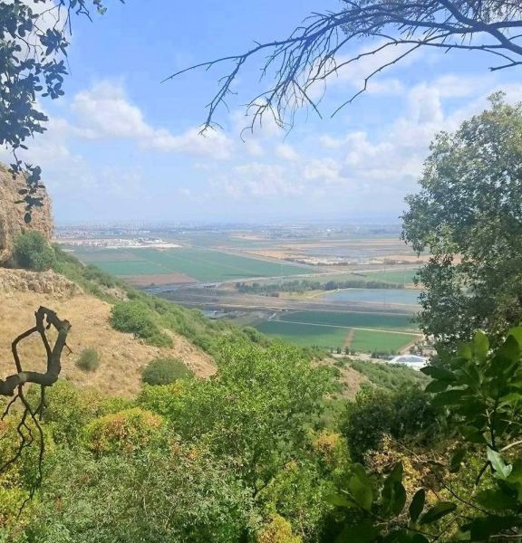 תמונה של שביל כרמל-כנרת: טיול לזכר כרמל וכנרת גת - למטייל בישראל (טיולי)