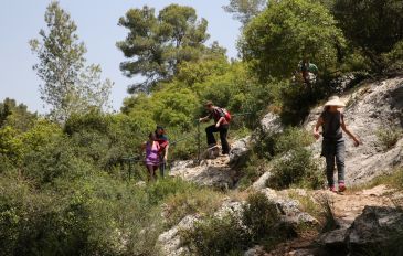 יער בית גוברין - לא רק עצים: כך לא תפספסו את פינות החמד ביערות קק
