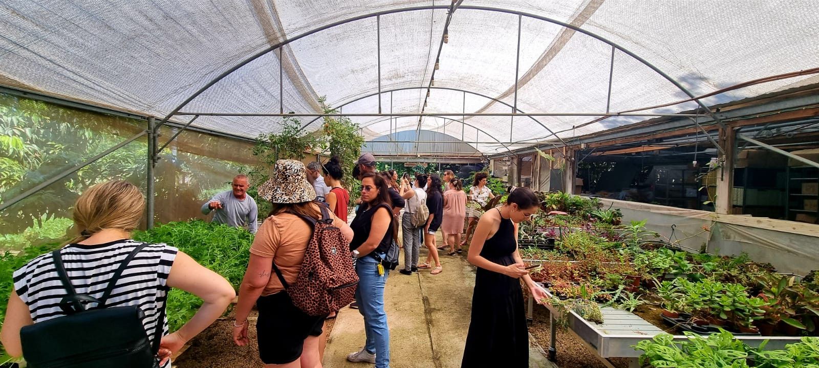 צילום: באדיבות משק הלברכט – גינת אוכל