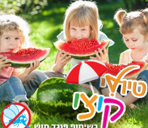 תמונה של הקייטנה של טיולי קיצי - היום השני - למטייל בישראל (טיולי)