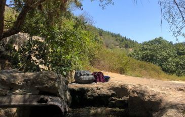 עין שריג (3)