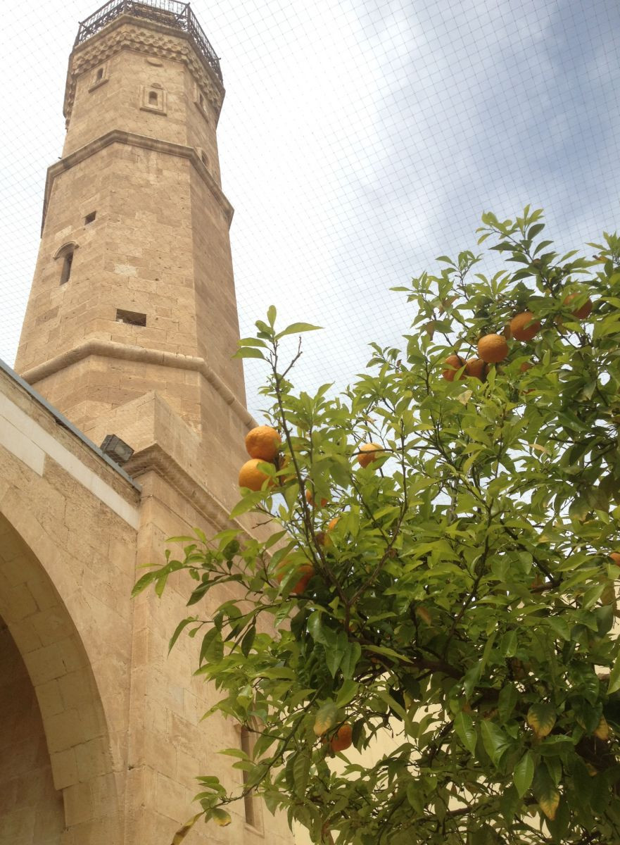 העיר העתיקה בבאר שבע | צילום: אינה מנשה