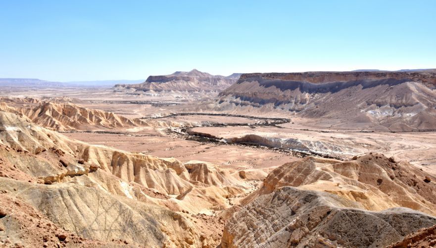 צילום: אינה מנשה