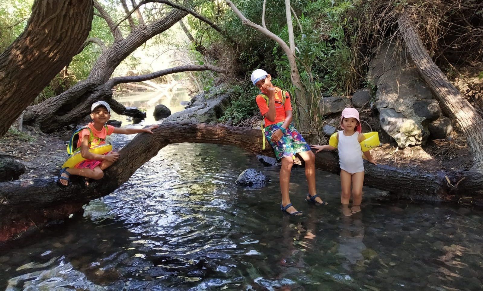 מג'רסה