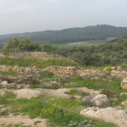 תמונה מתוך למטייל בישראל (טיולי)