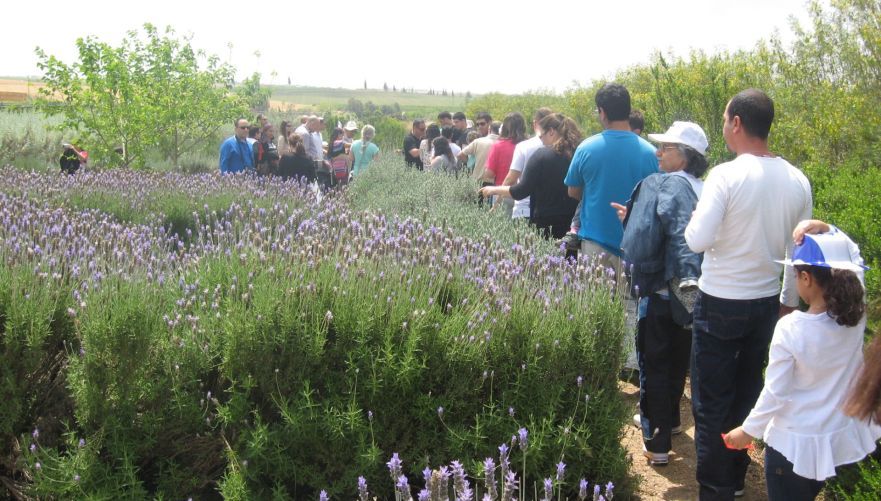סיור משפחות במבוך מרים | צילום: מבוך מרים