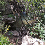 תמונה מתוך למטייל בישראל (טיולי)