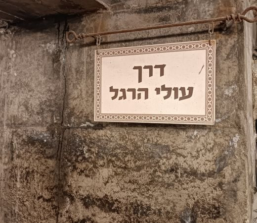 תמונה של דרך עולי הרגל בירושלים - למטייל בישראל (טיולי)
