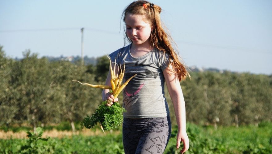 תמונה מתוך תוכן באתר למטייל בישראל (טיולי)