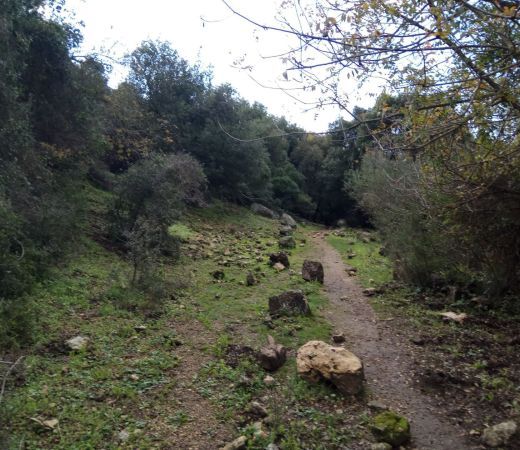 תמונה של עין אשחר ועין מירב: מסלול מעגלי בין מעיינות נחל געתון - למטייל בישראל (טיולי)