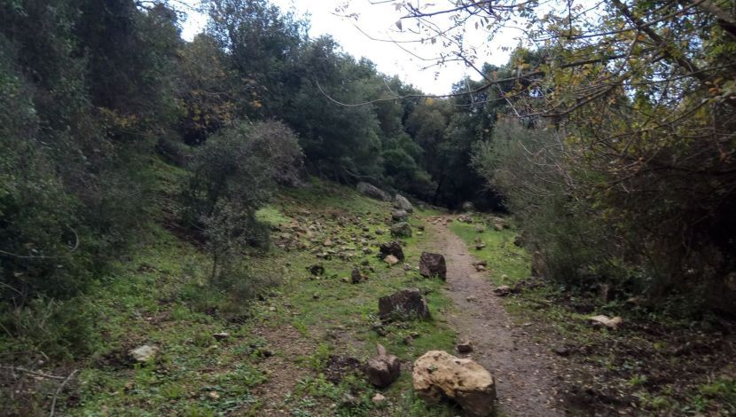 עין אשחר ועין מירב: מסלול מעגלי בין מעיינות נחל געתון (1)