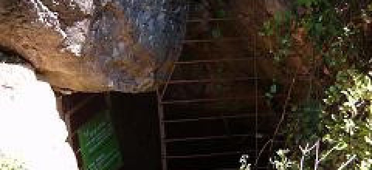 מערת שכניה (1)