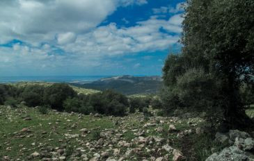 חירבת צונם: היסטוריה עטופה בטבע בגליל העליון (2)