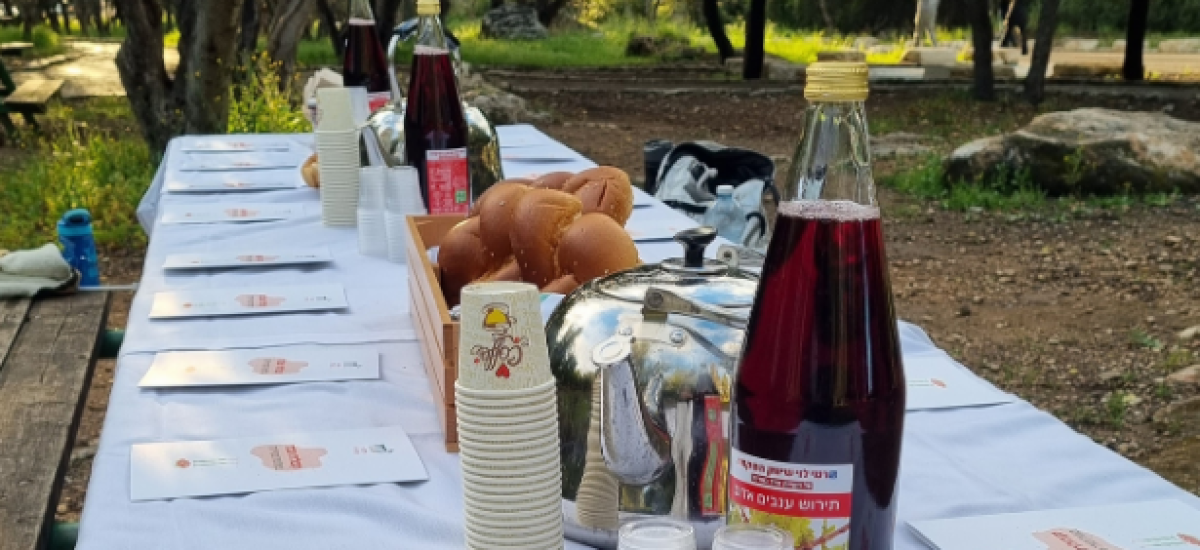 טיול קבלת שבת קסום (1)