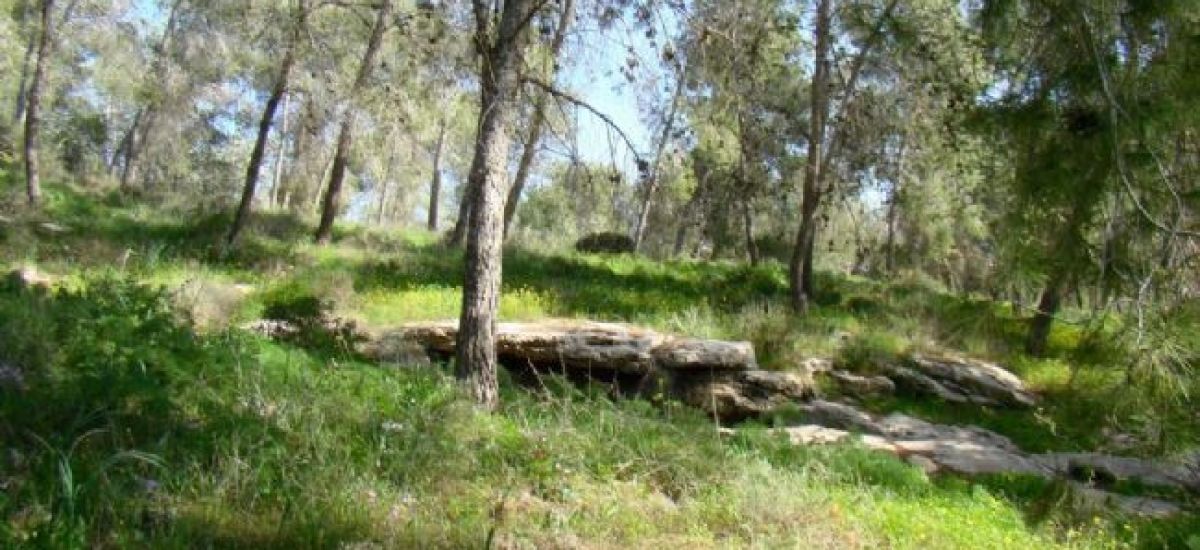 באוטובוס – שודדי העתיקות בשפלת יהודה  (1)