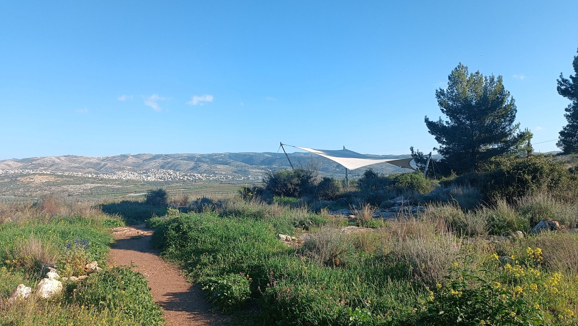 נוף מהמם של גבעות השפלה, גבעת הברושים | צילום: שי קדם