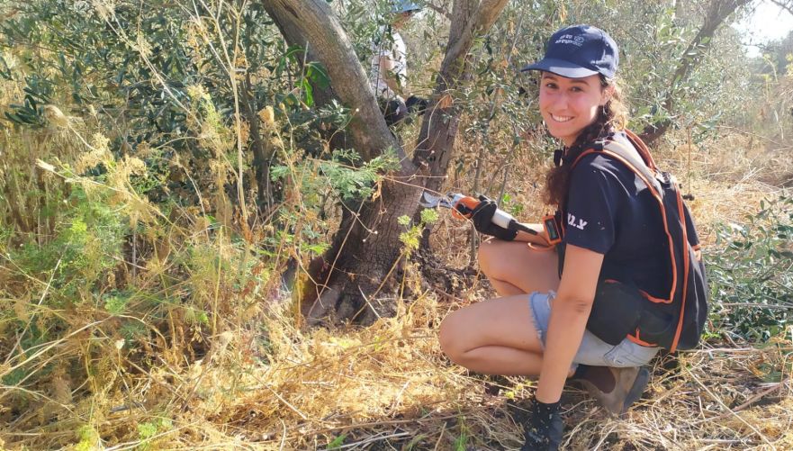 צילום: SunDo