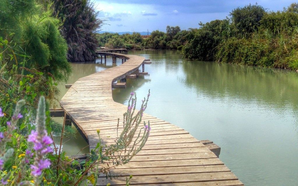 שמורה חלומית | צילום: איתמר ברק