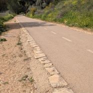 שביל האפוניים