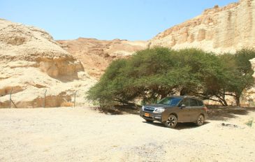 טיול 4x4 של יומיים: הערבה הצפונית ומדבר יהודה (3)