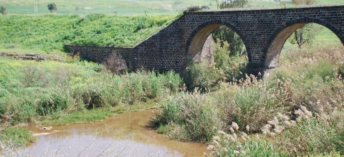 גשר על נהר הירדן - פוצץ ע - שקנאים, דגים ורכבות –  טיול בין הגשרים של מחוז גשר (1)