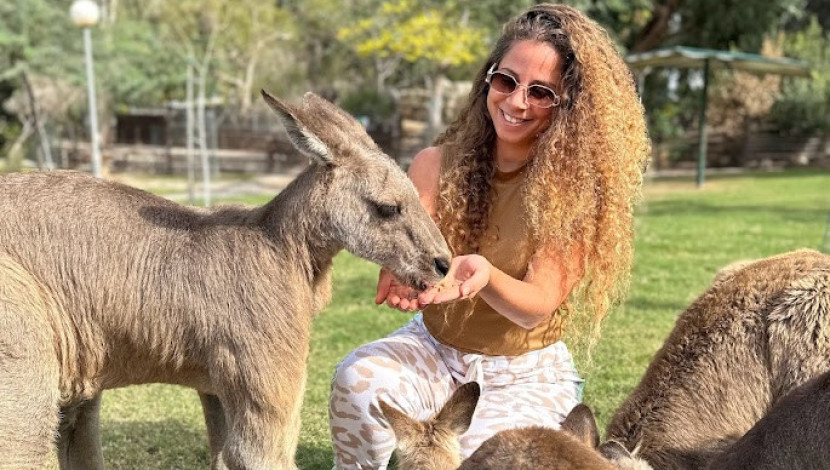 הרבה יותר ממעיינות: כל מה שאפשר לעשות בעמק המעיינות (1)