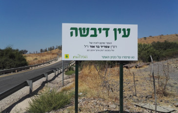 עין דבשה - דרבשיה (2)