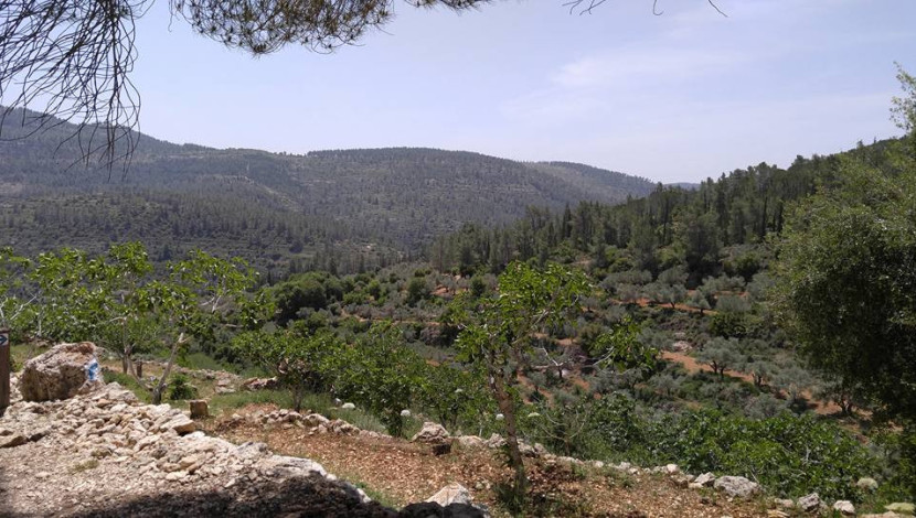 טיול אגדות ומעיינות בהרי ירושלים (1)