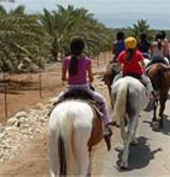 תמונה של אורוות קלי - למטייל בישראל (טיולי)