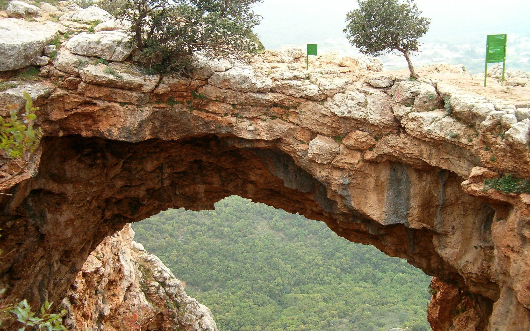 תמונה מתוך תוכן באתר למטייל בישראל (טיולי)