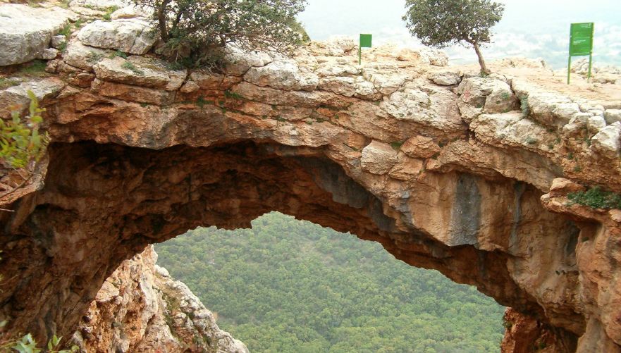 תמונה מתוך תוכן באתר למטייל בישראל (טיולי)