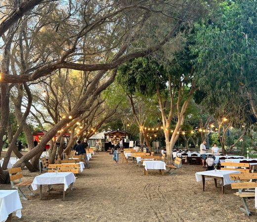 תמונה של השבוע זה קורה: פסטיבל יינות הנגב מגיע למרכז הארץ - למטייל בישראל (טיולי)