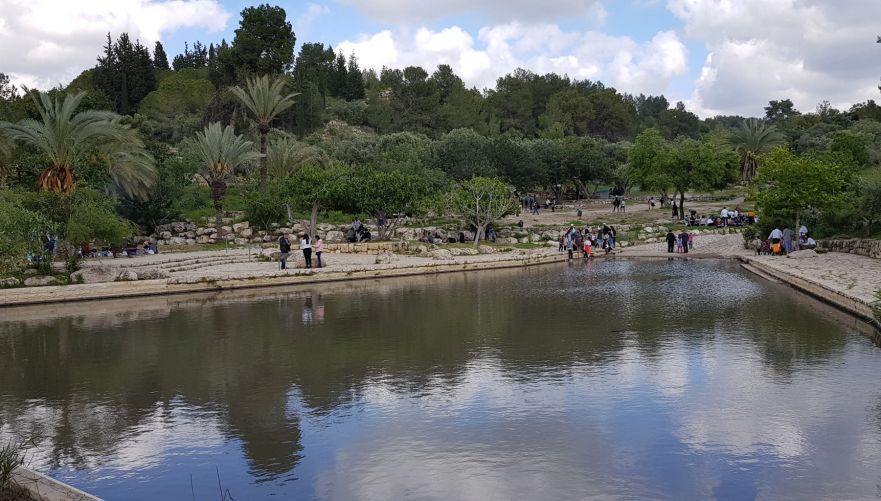 פארק קנדה | צילום: נטע מזר