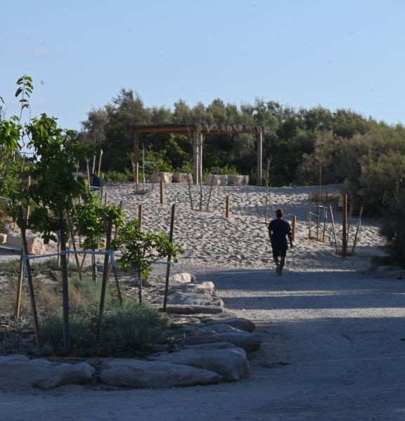 תמונה של רבע לטבע: טבע עירוני באשדוד - למטייל בישראל (טיולי)