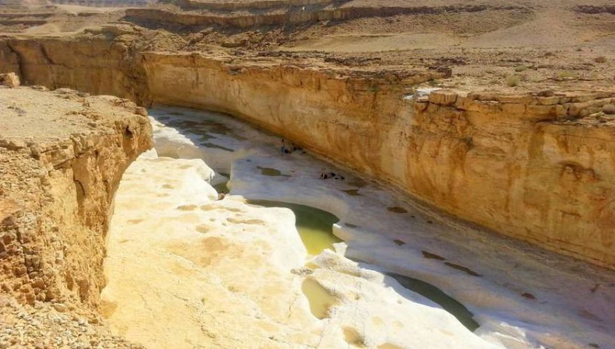 גבי פרס | צילום: אסף מדמון