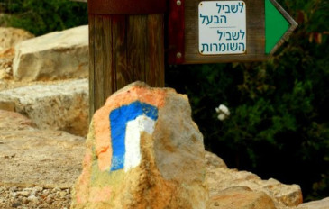 מסלול בסטף - הסטף שלא הכרתם: אלים, לוחמים ובוסתנים בהר איתן (2)