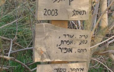 מעיין נסתר בתוך תאנה באניעם (3)