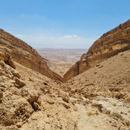 תמונה מתוך למטייל בישראל (טיולי)