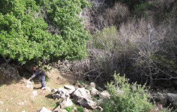 הג'ובה היפה (3)