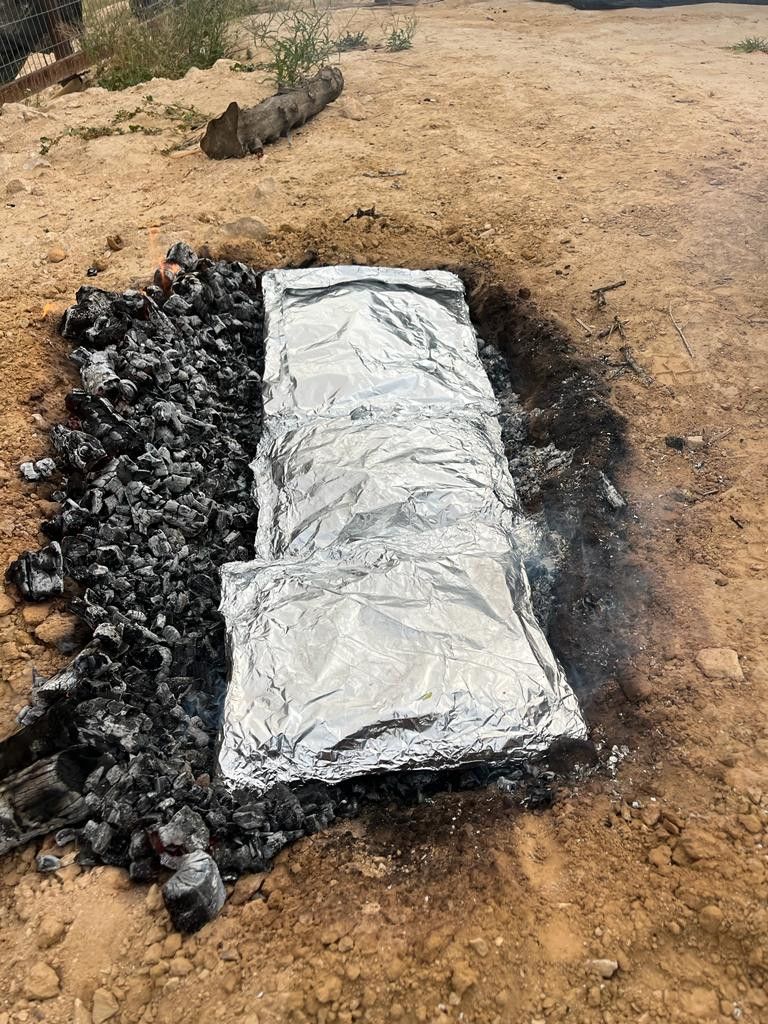 אוהל בוסתן הזיתים: אירוח במאהל בדואי אותנטי - מרכז הנגב והמכתשים ...