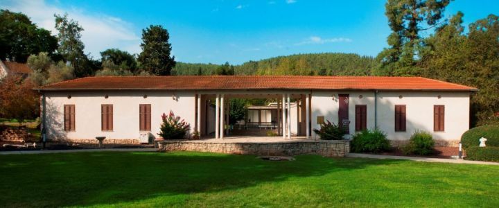 מוזיאון וילפריד ישראל (1)