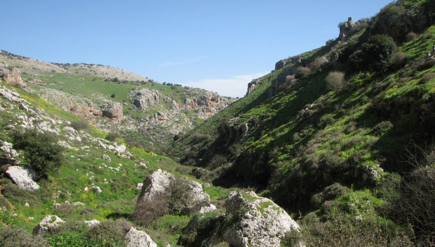 נחל דישון-אביב. צילום: יוחאי כורם
