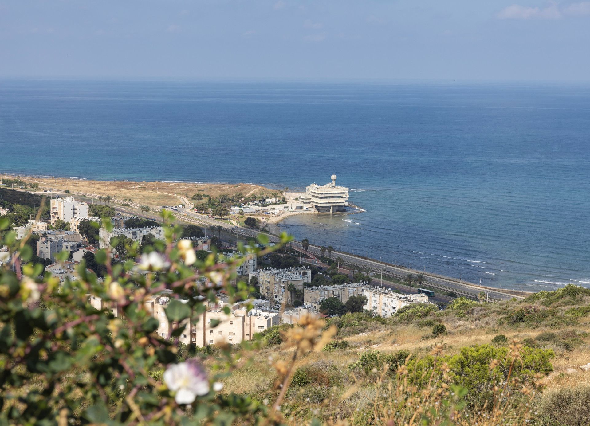 הנוף המקסים של תל שקמונה. צילום: מיכל פריימן, מתוך אתר פיקיויקי