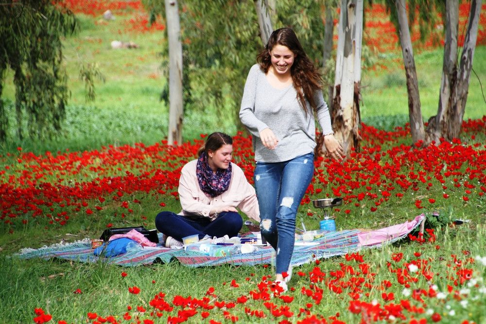 פיקניק בדרום אדום | צילום: רפי בביאן