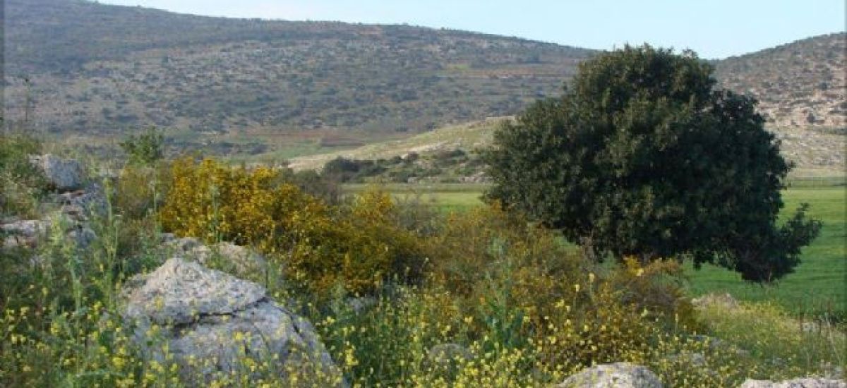באוטובוס – משמרות כהונה וצאצאי חשמונאים בגליל (1)