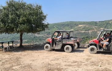 יום כיף בכרמל: שביל פראי, תצפית עוצרת נשימה וריינג’רים מסעירים (3)