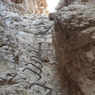 הטיפוס הארוך