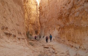 שביל ישראל - ציחור- ורדית - ברק- עשוש (3)